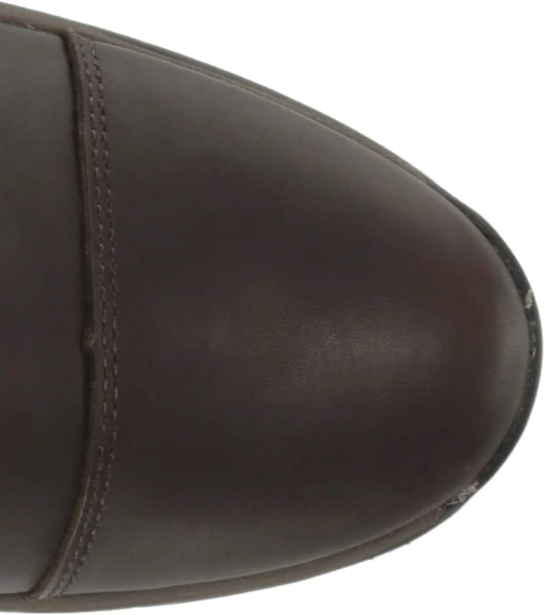 Ariat Women's Berwick Max Waterproof Boot