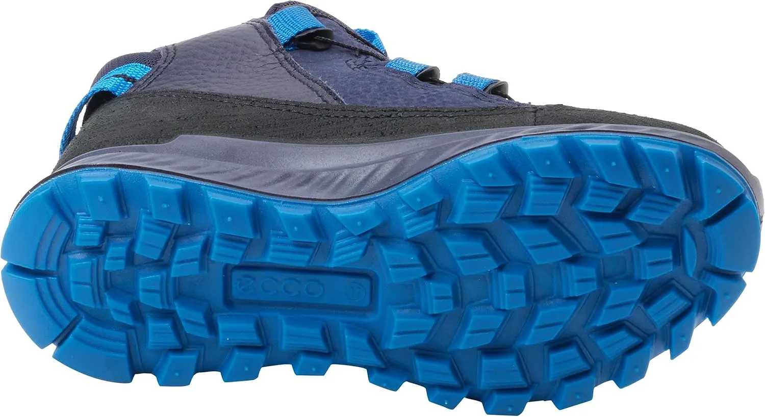 ECCO Boy's Ankle Boot