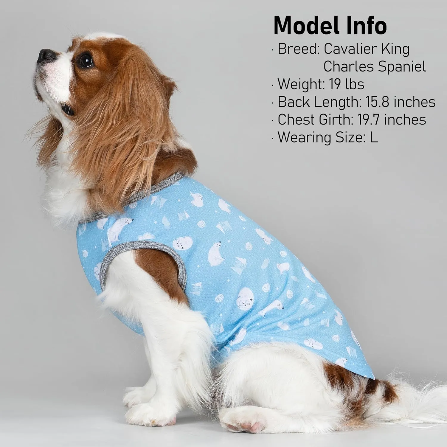 KYEESE 2 Pack Dog Cooling Shirts Breathable Instant Cooling Dogs Vest Lightweight for Summer Dog Clothes