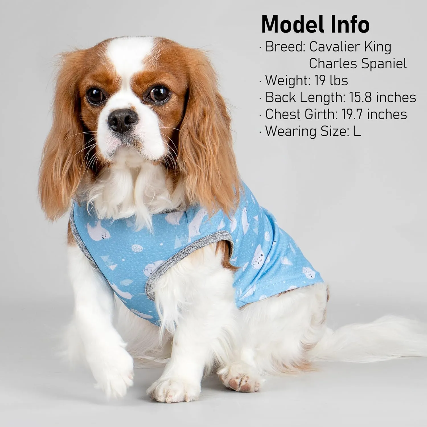 KYEESE 2 Pack Dog Cooling Shirts Breathable Instant Cooling Dogs Vest Lightweight for Summer Dog Clothes
